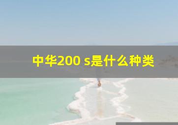 中华200 s是什么种类